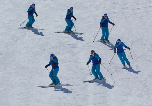 Basic parallel ski turn