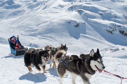 Dog sledding, Val Thorens