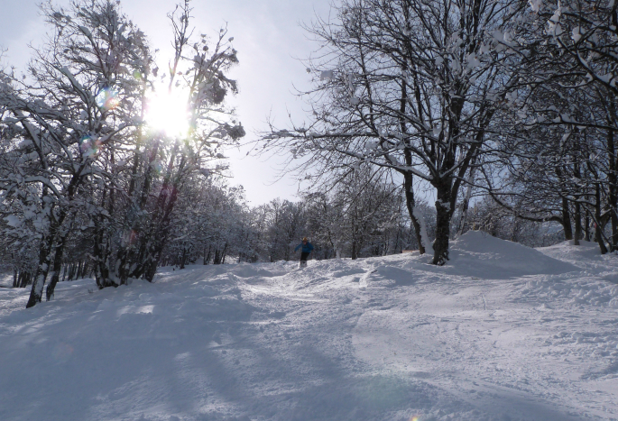 Trees near Raffort Three Valleys off piste itineraries, Raffort - trees near Raffort bubble station
