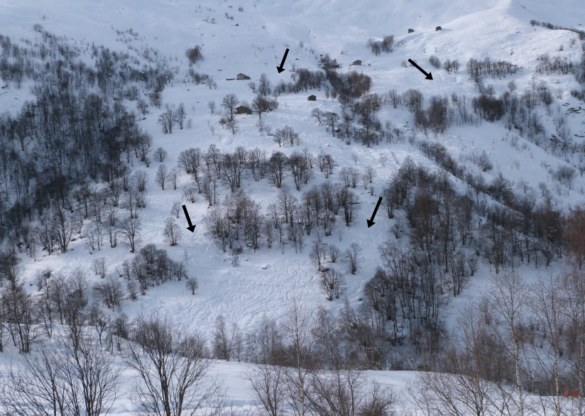 Yvoses woods - choice of route Woods in les Yvoses, near le Bettaix